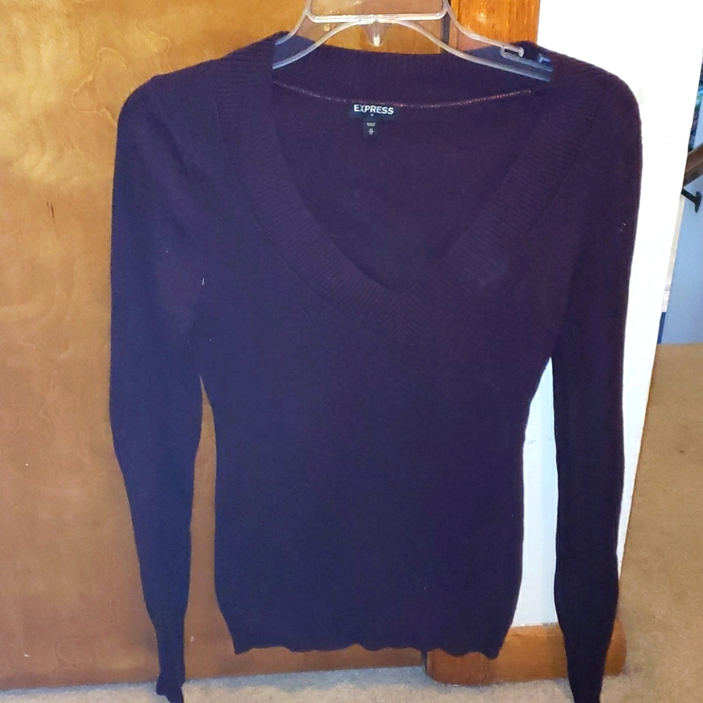 Express V Neck Sweater M